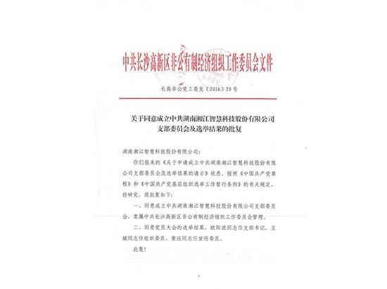 中共湖南湘江智慧科技股份有限公司黨支部成立大會(huì)成功召開(kāi)